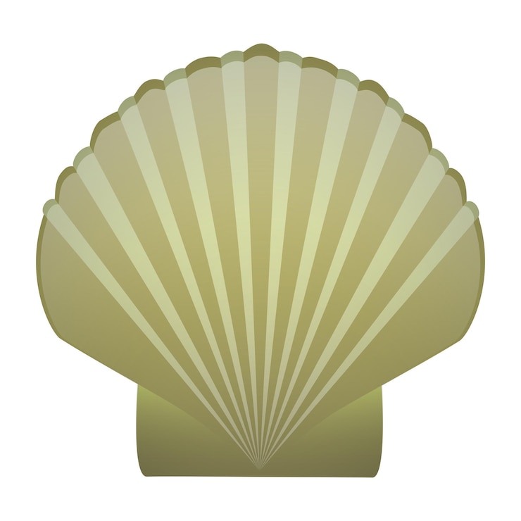 Vector vector seashell17