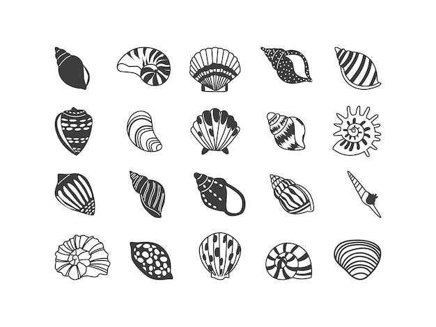 Vector seashells drawing elements