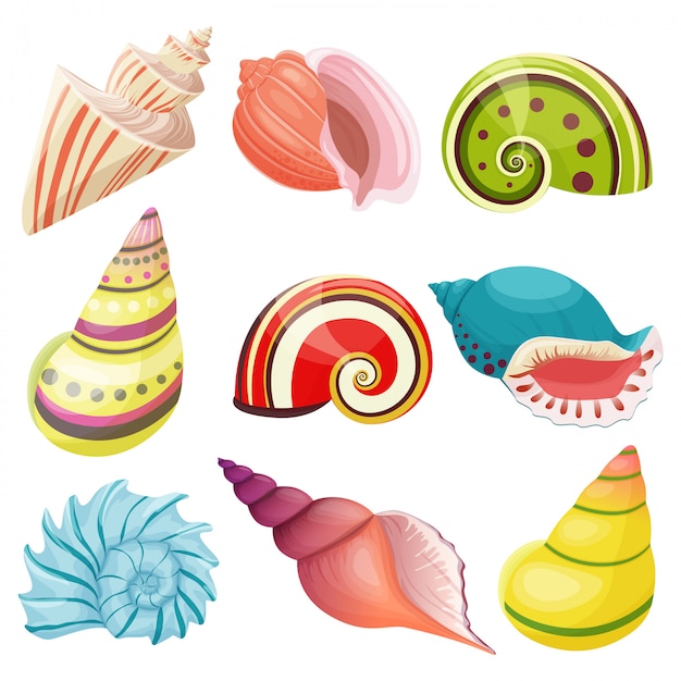 Vector seashells set.