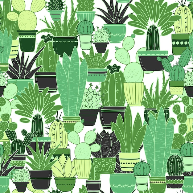 Vector semless pattern with cacti in pots without background