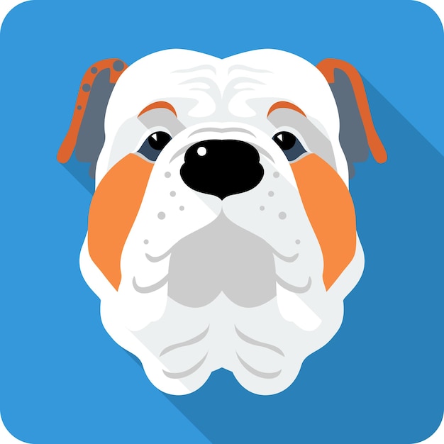 Vector vector serious dog english bulldog icon flat design