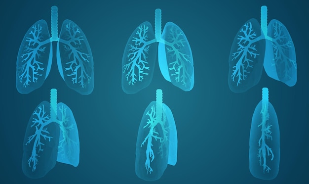 Vector set 3D lungs and bronchus on color background Element for medical design