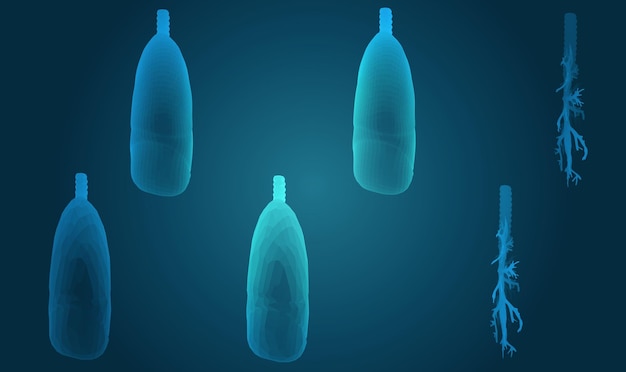 Vector set 3D lungs and bronchus on color background Element for medical design