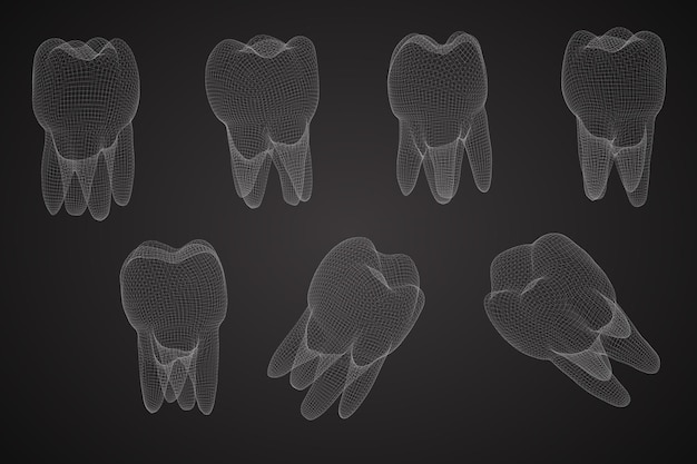 Vettore insieme di vettore dei denti 3d per la medicina dentale