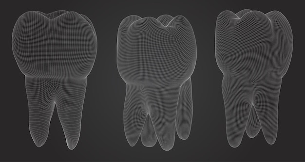 치과 의학에 대 한 3d 치아의 벡터 세트