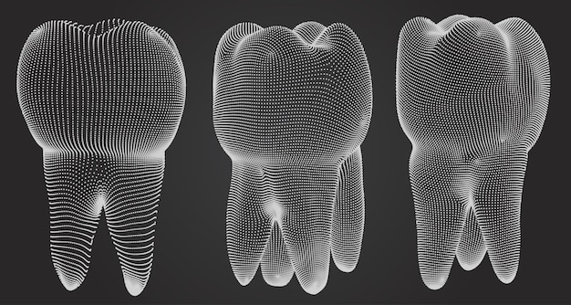 치과 의학에 대 한 3d 치아의 벡터 세트