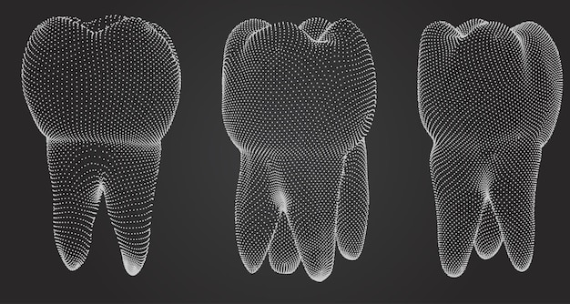 Vector vector set of 3d teeth for dental medicine