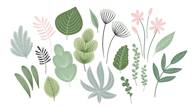 Vector set of abstract leaves flowers and grass Clipart isolated elements