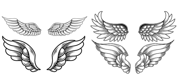 Vettore set vettoriale di tatuaggi di ali d'angelo