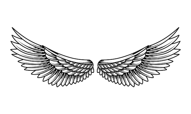 Vector vector set of angel wings tribal tattoo