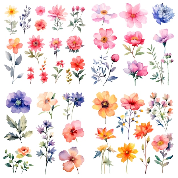 Vector set aquarel bloemen een set bloemen