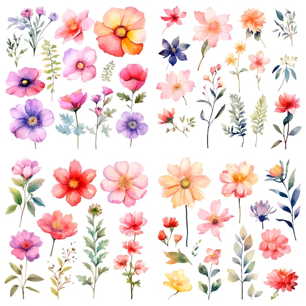 Vector set aquarel bloemen een set bloemen