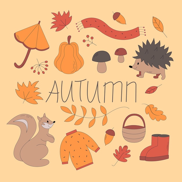 Vector set of autumn icons sweater falling leaves cute hendgehog and squirrel autum collection set