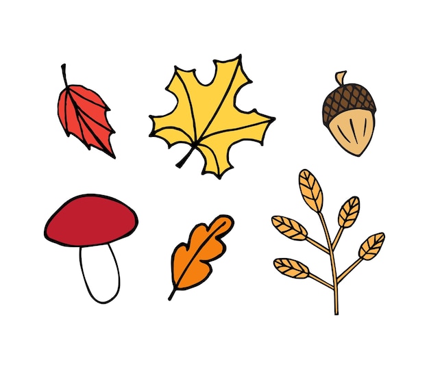 Vector set of autumn leaves acorn and mushroom