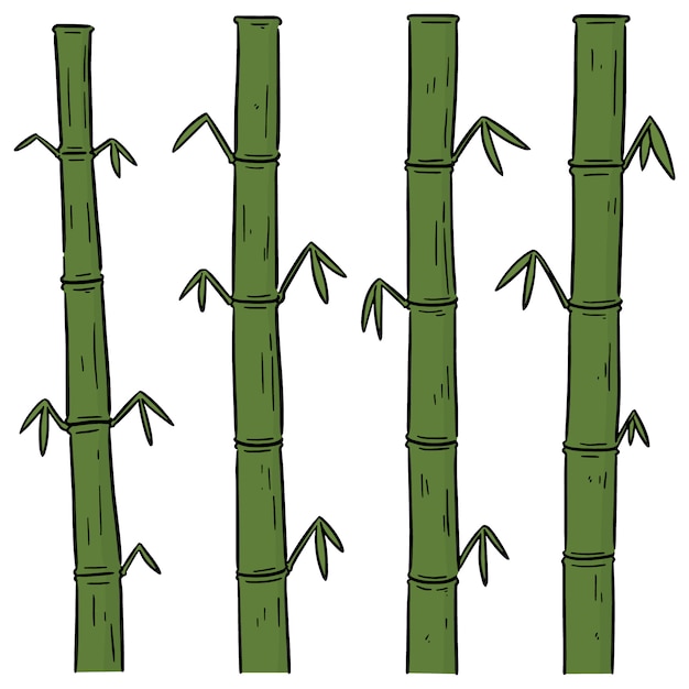 Vector set of bamboos