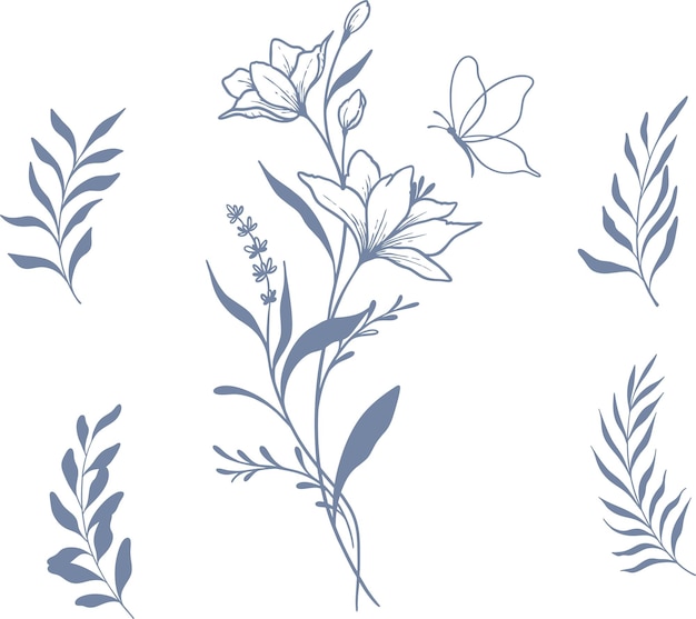 vector set beautiful floral and leaves line art elements botanical set elements hand drawn