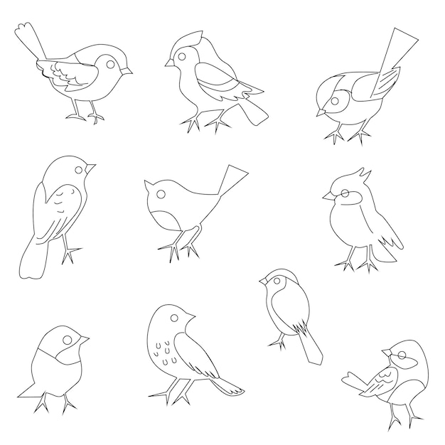 vector set of bird line art in flat style various styles and shapes perched on a branch, bird vector