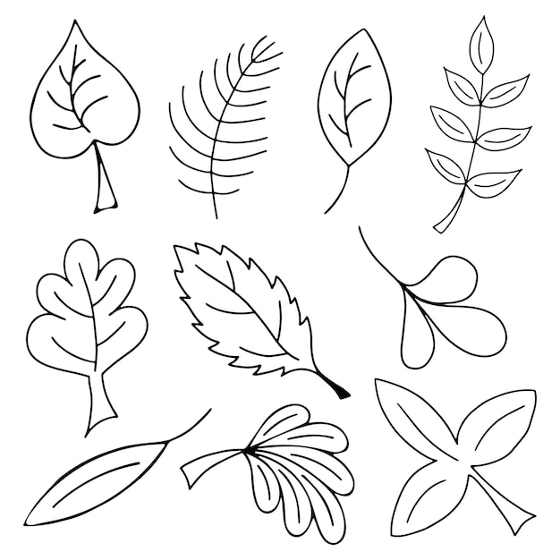 Vector vector set of black and white doodle leaves hand drawn leaves collection isolated on white background leaf for coloring book coloring page or coloring sheet