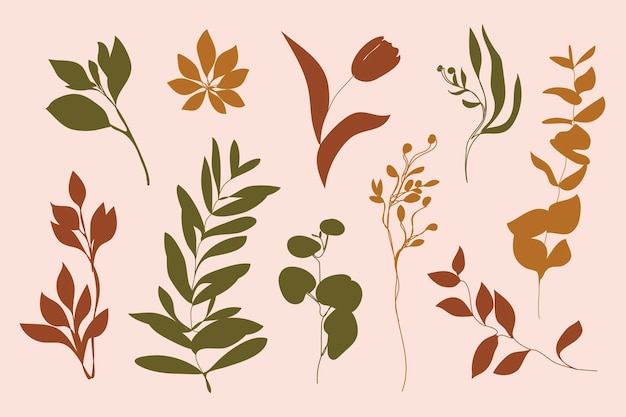 Vector set bladeren en takken silhouet blad planten tulpen Olijftak illustratie voor het afdrukken op tshirt schoonheidsproducten Posters maken van een logo en patronen