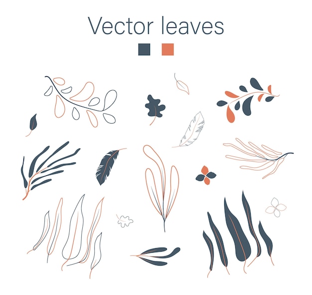 Vector set bladeren op witte achtergrond
