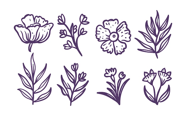 Vector vector set of botanical leaf doodle wildflower line art illustration