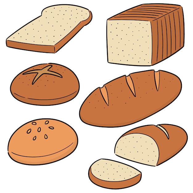 Vector vector set of bread