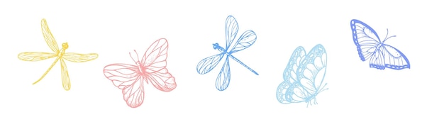 Vector vector set of butterflies and dragonflies hand painted linear insects graphic clipart isolated on