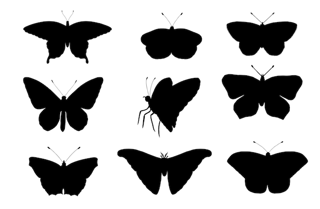 Vector set of butterflies.