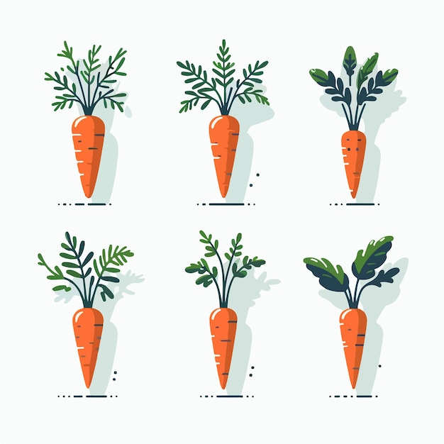 Vector set of carrots with flat design style