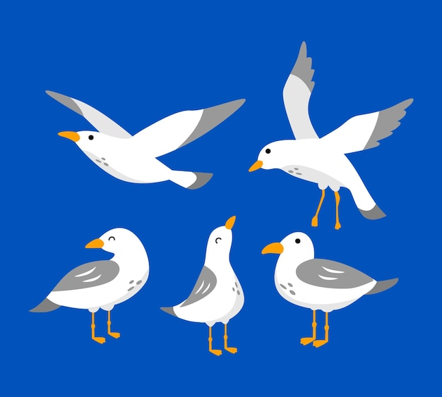 vector set cartoon Atlantische zeevogel meeuwen