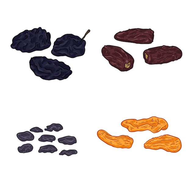 Vector vector set of cartoon dried fruits