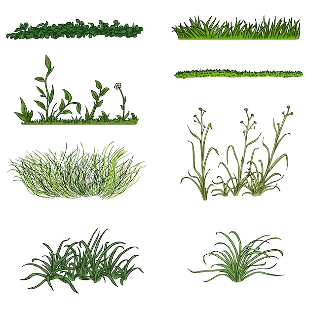 vector set of cartoon green grass silhouettes on white backround different type of plants