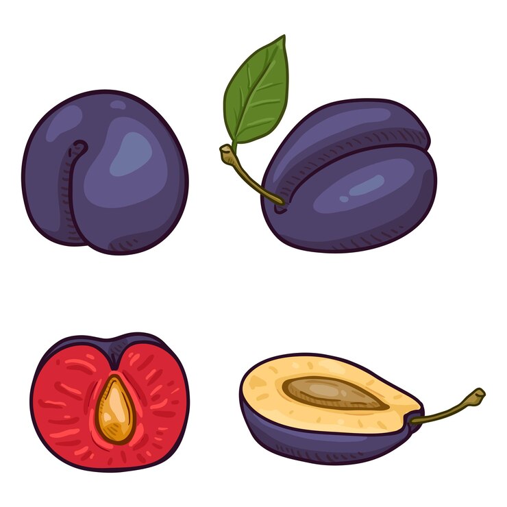 Vector vector set cartoon pruimen