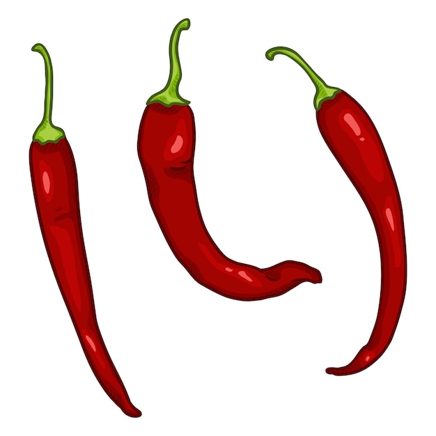 Vector set of cartoon red chilli peppers