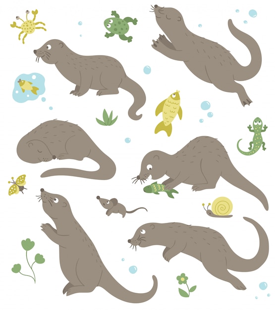 Vector vector set cartoon stijl plat grappige otters in verschillende poses met kikker, krab, vis, hagedis illustraties. leuke illustratie van bosdieren.