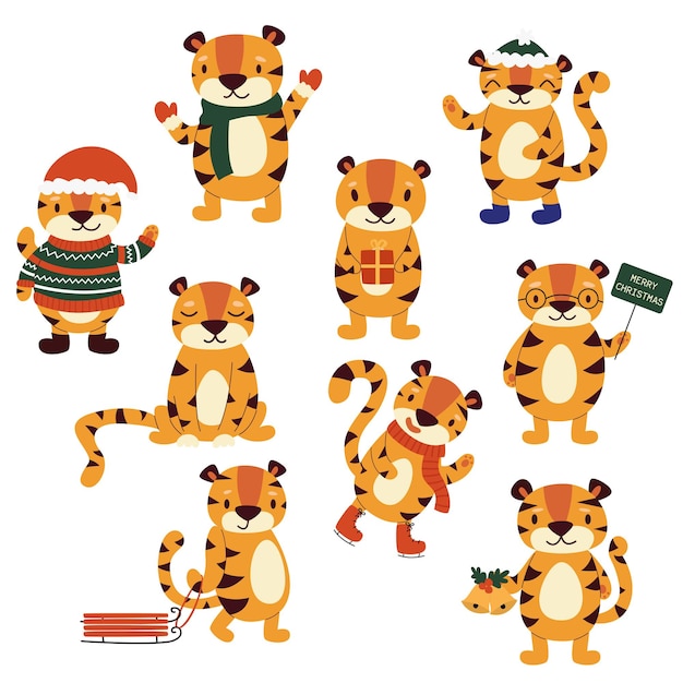 Vector set of cartoon winter tigers in different poses isolated on white background.