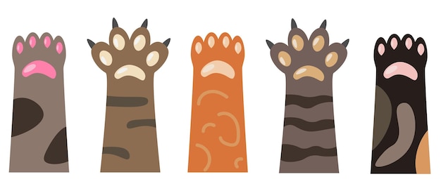 Vector vector set of cat paws