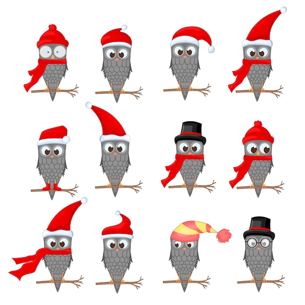 Vector set di gufi di natale