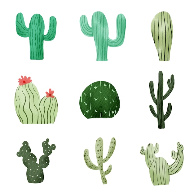 Vector vector set of collection various cactus illustration clipart