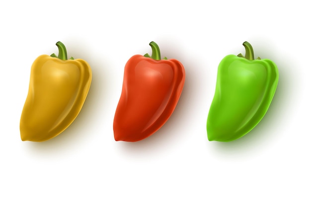 Vector vector set of colored yellow green and red sweet bulgarian bell peppers paprika isolated on white background