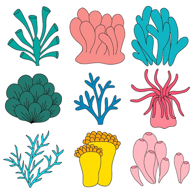 산호의 터 세트 색 배경에 고립 된 밝은 해양 요소 아름다운 수중 동식물 및 동물 스티커 바다 산호 손으로 그려진