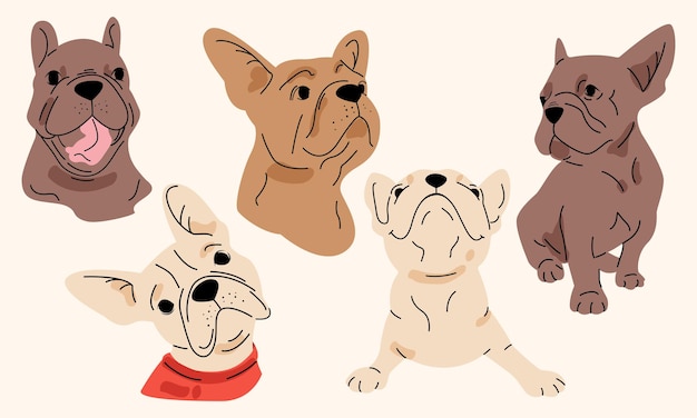 Set vettoriale di simpatici cani bulldog francesi cartoon stile piatto
