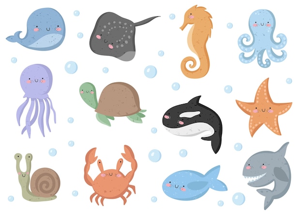 Vector vector set of cute poster with funny sea animal and text