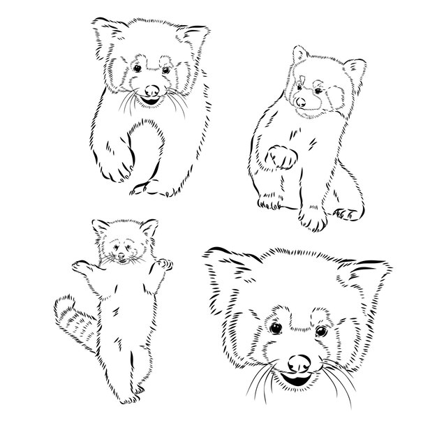 Vector set of cute red pandas in sketch style hand drawn