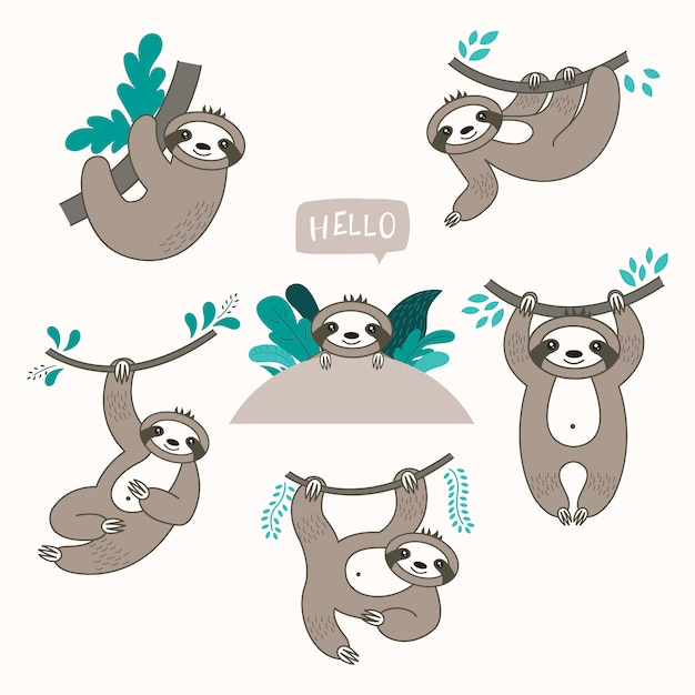 Vector vector set of cute sloths in different positions.