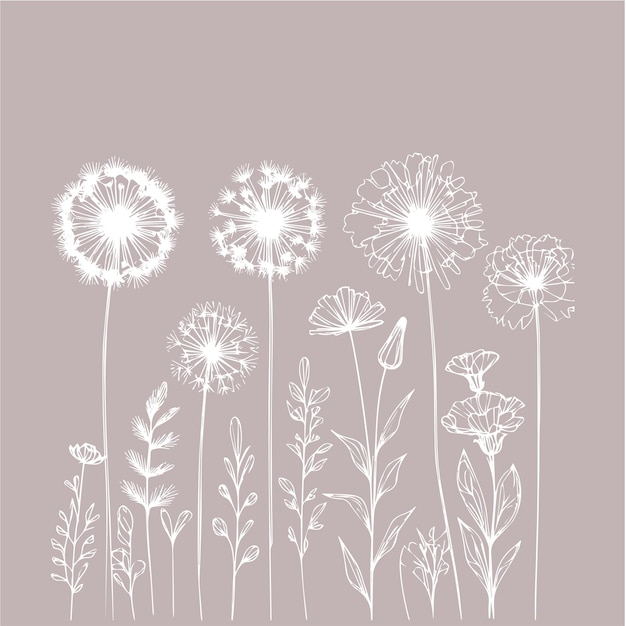 Vector vector set of dandelions hand drawn flowers on a light background