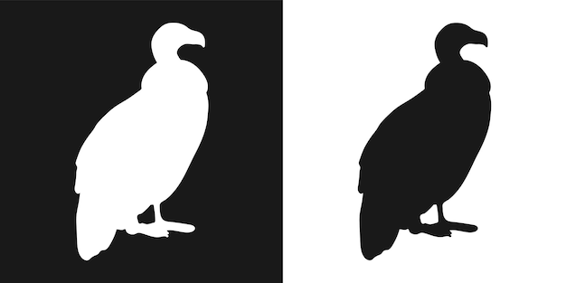 白の背景に黒の装飾的な詳細な孤立したハゲワシのベクトルを設定