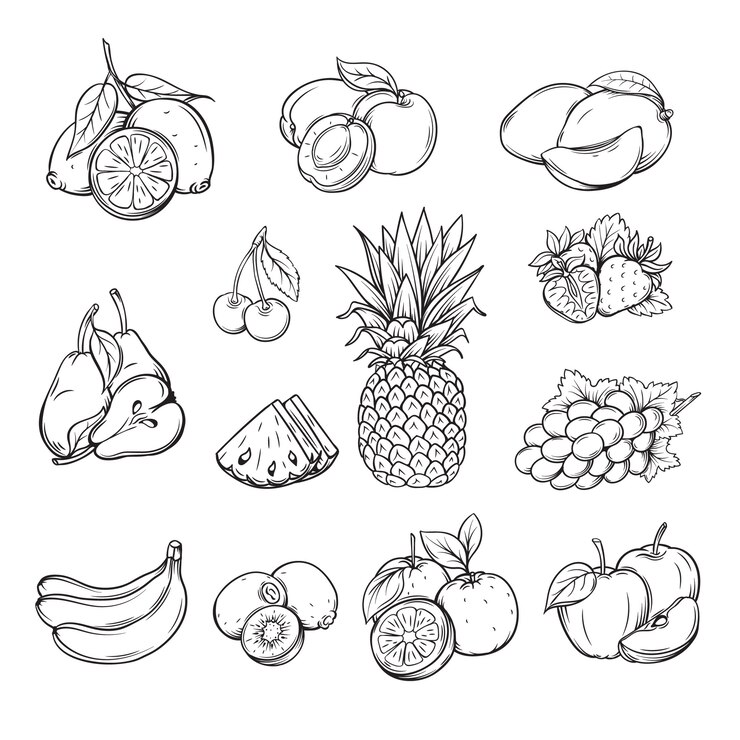 Vector vector set of different hand drawn fruit ,