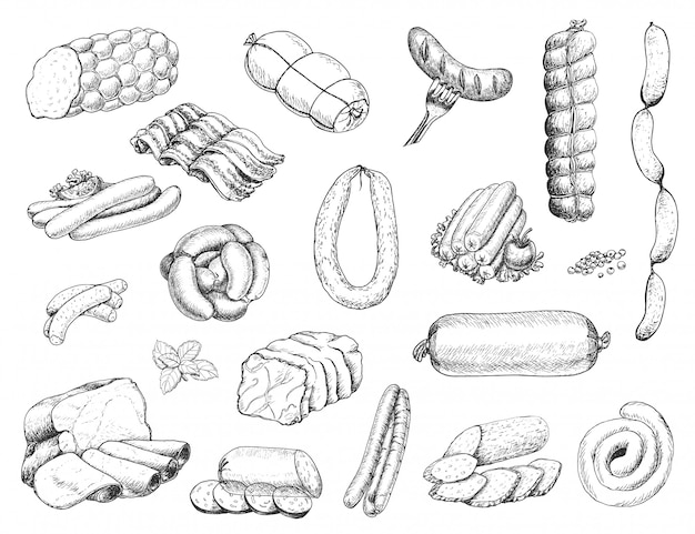 Vector vector set of different meat products