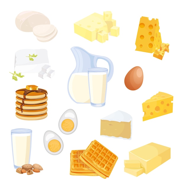 Vector vector set of different types of food on a white background